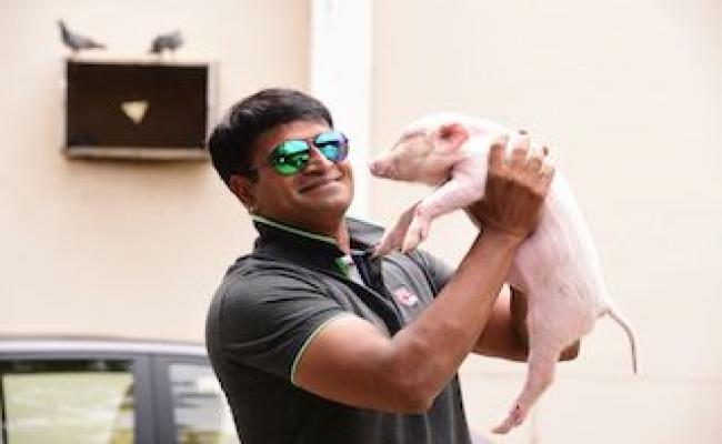 Ravibabu makes a movie on Pig